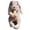 Brown1, variant on ZJNGJC Adorable Bunny Rabbit Stuffed Animal With Carrot Soft Toy Easter For Boys Girls Cute Party Decoration Doll Khaki