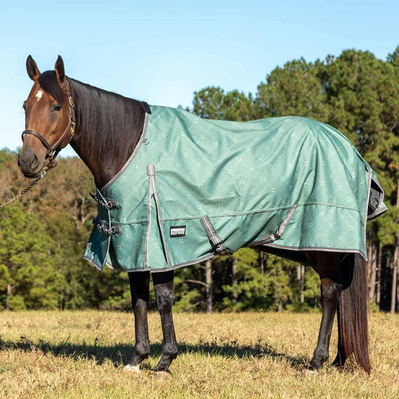 Poplar Head Uniquely English 1200 Denier Turnout Blanket, 240 Gram, Spruce Stirrup Irons, 66"