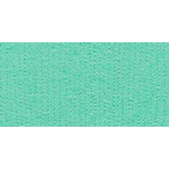 Bazzill Fourz Cardstock 12"X12"-Fiji/Grasscloth