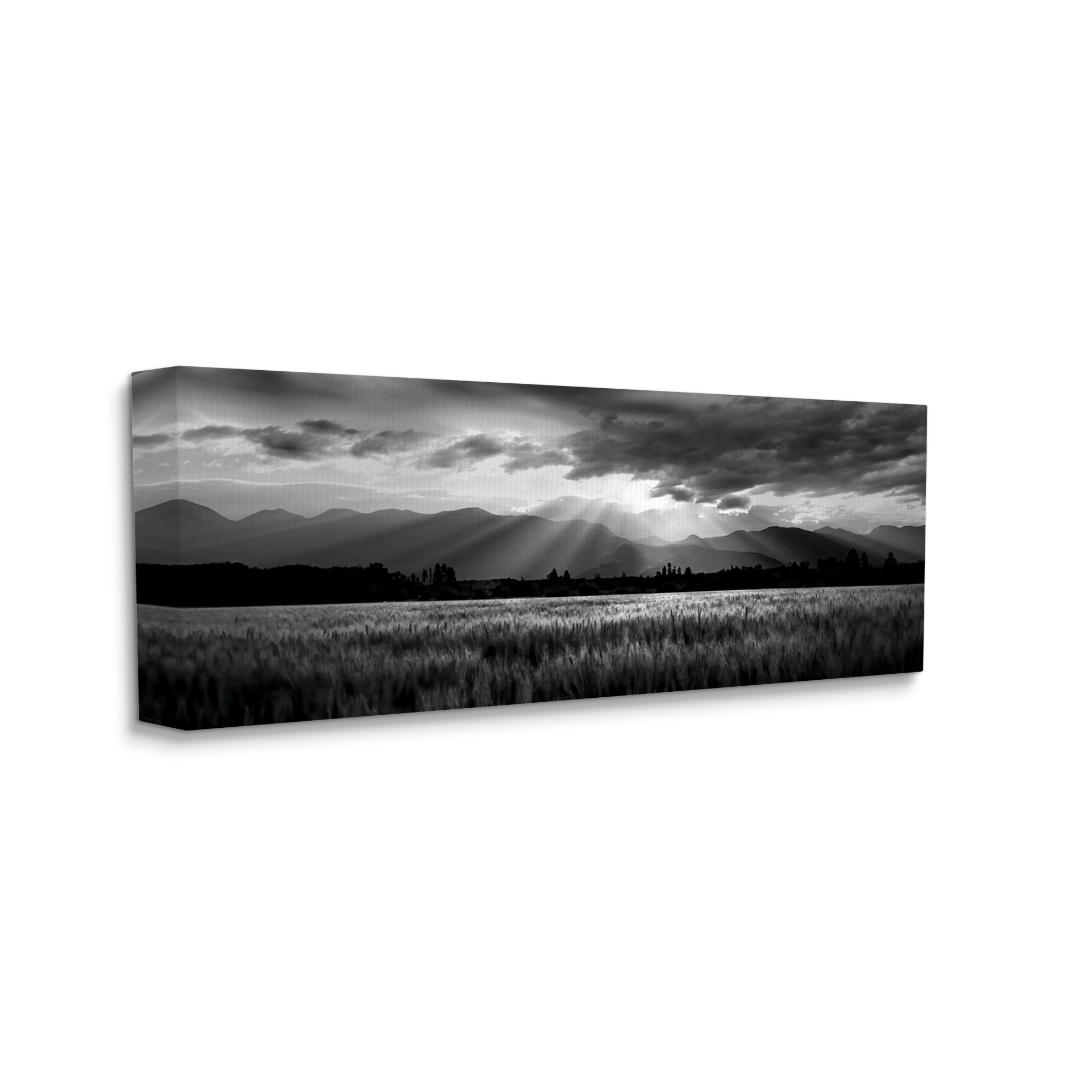 Stupell Industries Sun Rays Field Landscape Landscape Photography Gallery Wrapped Canvas Art Print Wall Art, 24 x 10