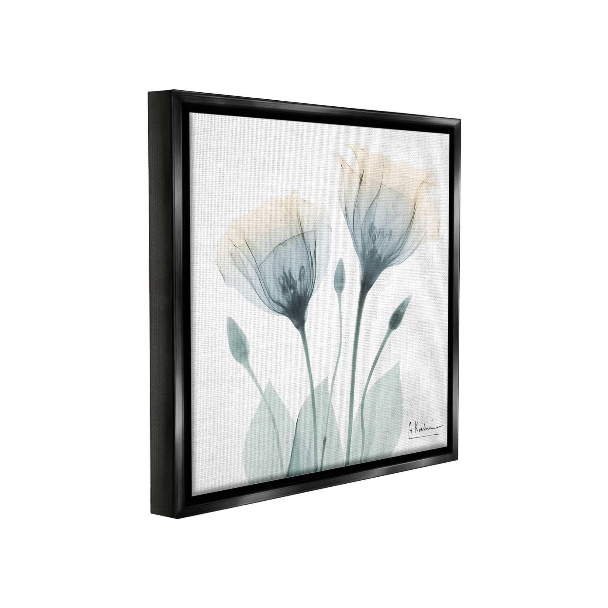 Stupell Industries Opaque Tulip Duo Botanical & Floral Photography Black Floater Framed Canvas Art Print Wall Art, 18 x 18