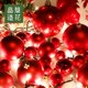 thumbnail image 5 of Bola navideña roja de 3-25 cm, bola colgante navideña, bola colgante, decoración de anillo para árbol de Navidad, 5 of 5