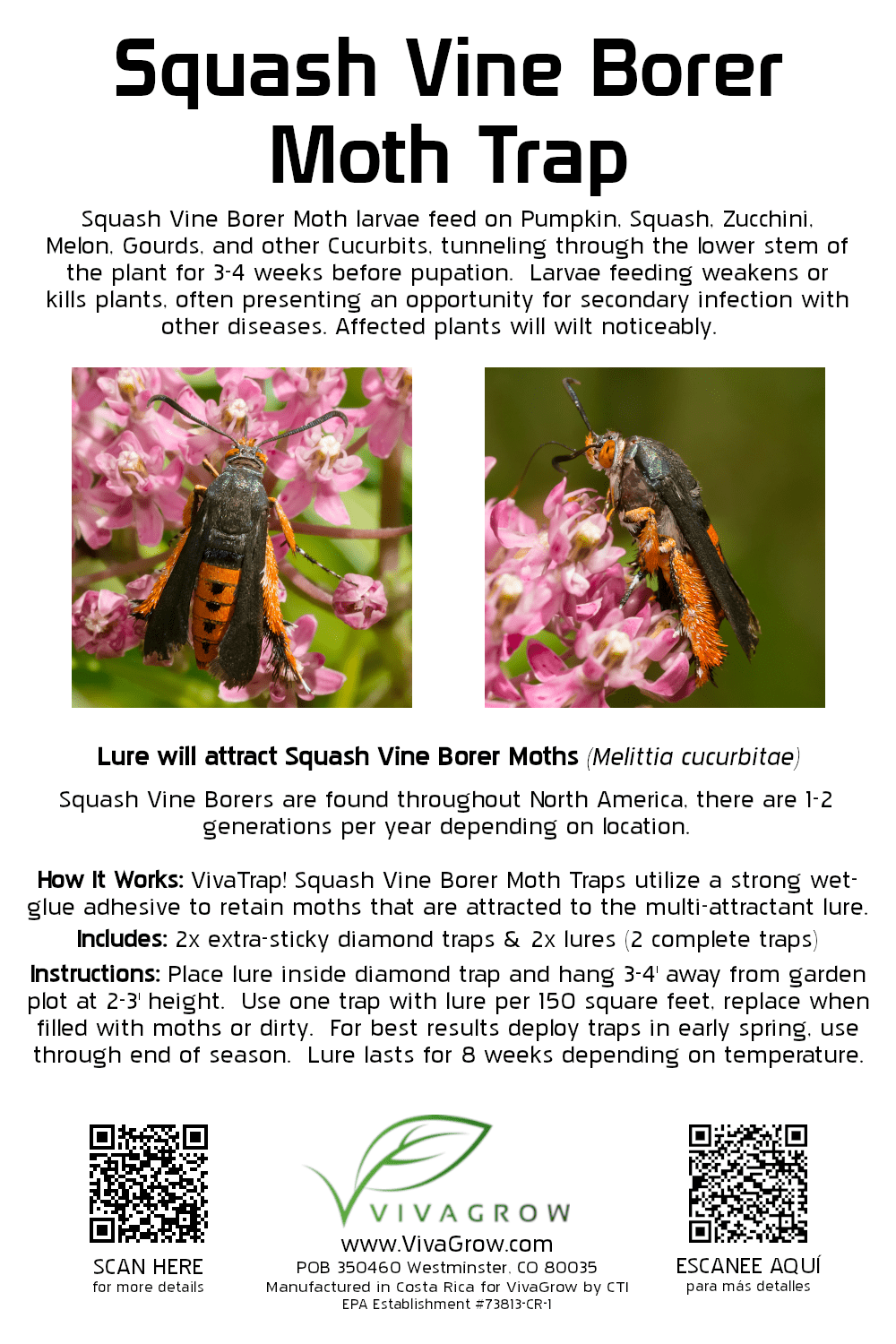 VivaTrap! VT-100 Squash Vine Borer Moth Trap & Lure (2 Pack, 8 Week)
