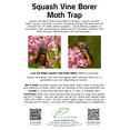 VivaTrap! VT100 Squash Vine Borer Moth Trap & Lure (2 Pack)