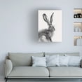 thumbnail image 3 of Emma Caroline 'Wild Hare II' Canvas Art, 3 of 3
