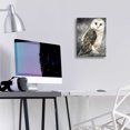 thumbnail image 4 of Epic Art 'Snowy Owl 2' by Stellar Design Studio, Acrylic Glass Wall Art, 12"x16", 4 of 8