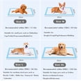 thumbnail image 2 of 100 Counts 6 Layers Puppy Pads Leak Proof Pee Pads for dogs with Quick-Dry Surface, 2 of 10