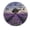 FFclock069, variant on ZXCXRQFa Silent Clocks Lavender Field Clock Wall Decor Battery Operated Floral Clocks Spring Wall Clocks Round Desk Clock 10 in Non Ticking Analog Bathroom Clocks