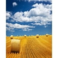 thumbnail image 2 of ABPHOTO Polyester 5x7ft Autumn Harvest Farmland Backdrop Golden Wheat Field Straw Hay Bale Blue Sky White Cloud Nature Landscape Photography Background Kids Adults Lughnasadh Photo Studio Props, 2 of 3