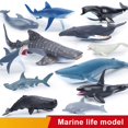 thumbnail image 2 of Figuras de ballena de vida marina de simulación, figuras de acción de Cachalot de tiburón, modelo de Animal en el océano, juguetes educativos xuanjing unisex, 2 of 2