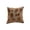 Bronze, variant on ddioayh Clearance Fall Pumpkin Throw Pillow, Decorative Cushion with Bloom and Berry Accents for Couch Sofa Bed, Autumn Home Decor