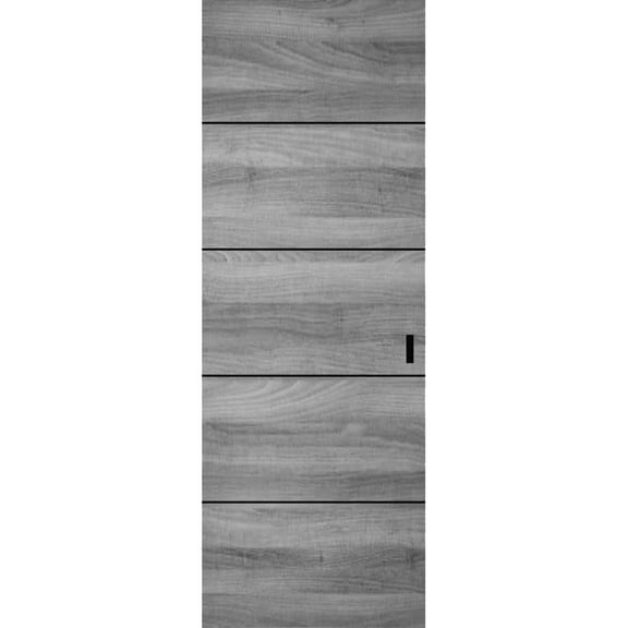 Hidden Barn | Planum 0015 Ginger Ash | Sturdy Finished Doors | Magic Concealed Sliding Set 24" x 80"