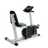 Weslo Pursuit 719 Recumbent Bike