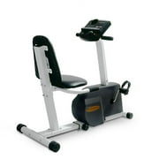 Weslo Pursuit 719 Recumbent Bike