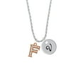 thumbnail image 2 of Delight Jewelry Rose Goldtone Crystal Initial - F - Silvertone Script Initial Disc - V - Charm Necklace, 20"+3", 2 of 4