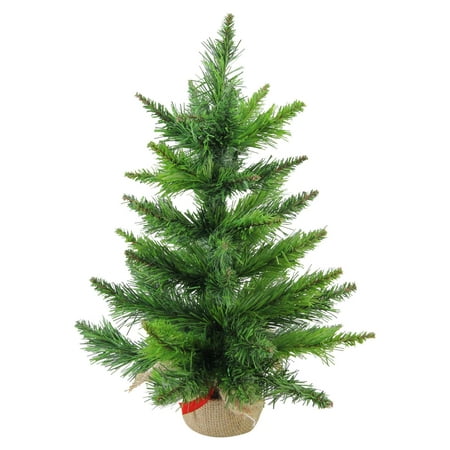 Mini Balsam Pine Christmas Tree in Burlap Base