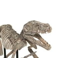 thumbnail image 2 of Zentique SHI002 Dinosaur Skeleton with Base- 31.5 x 18.5 x 9 in., 2 of 3