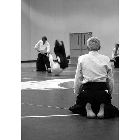 Canvas Print Learning Martial Arts Seminar Self-Defense Aikido Stretched Canvas 10 x