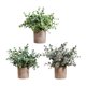 thumbnail image 3 of 3 piezas de plantas artificiales Strade Fareast Limited en maceta decorativas 8 cm x 8 cm, 3 of 8