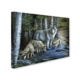 thumbnail image 2 of Trademark Fine Art 'Gentle Morning' Canvas Art by Jenny Newland, 2 of 3