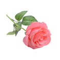 thumbnail image 1 of 20 Pieces/Kit Fake Roses Portable Solid Color Simulation Household Wedding Party Artificial Flower Branch Photography Prop, 1 of 10