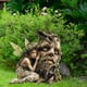 thumbnail image 1 of Decoración de estaca de jardín de hadas 2d artesanías impermeables artesanes acrílico adorno de adornos para el césped para el jardín trasero al aire, 1 of 8