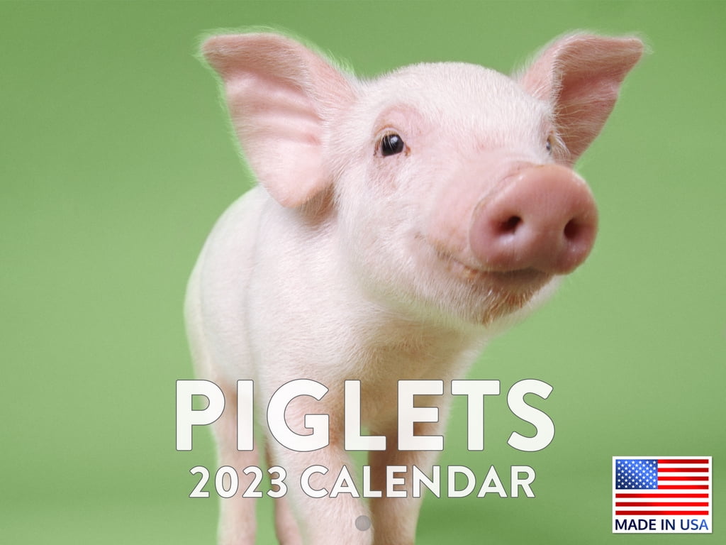 Baby Pig Calendar 2023 Monthly Wall Hanging Calendars Cute Country