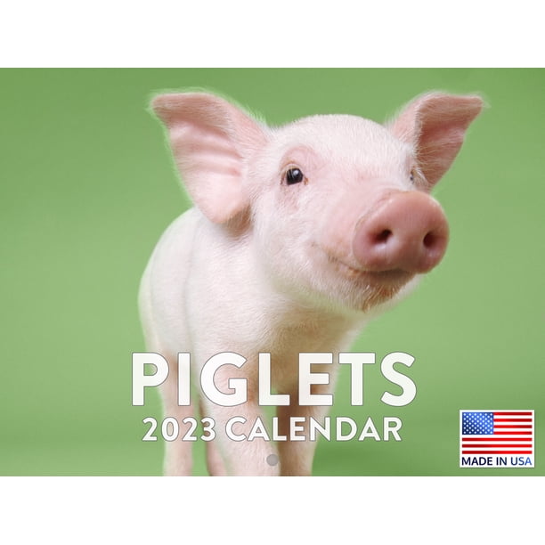 Baby Pig Calendar 2023 Monthly Wall Hanging Calendars Cute Country 