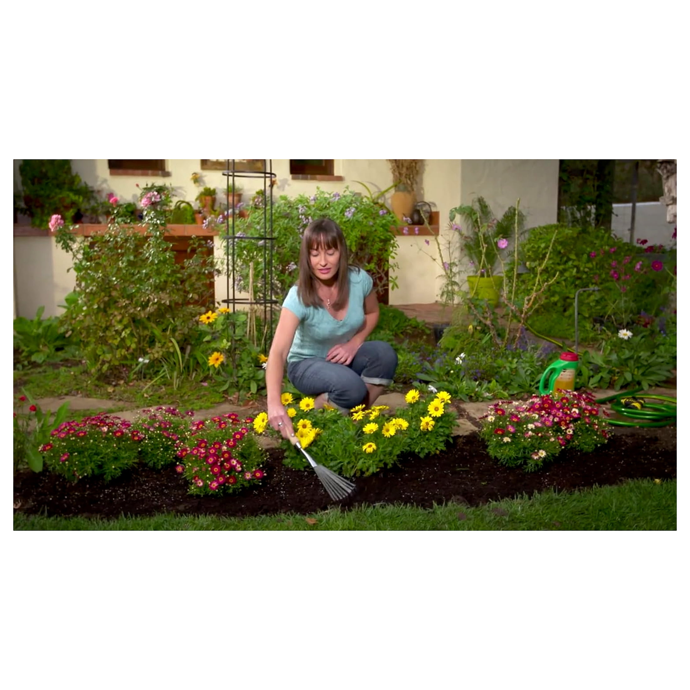 Miracle Gro Shake 'N Feed All Purpose Plant Food 10-10-10 4.5 Lb.