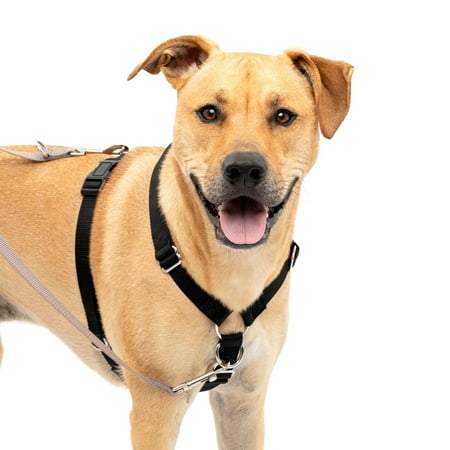 UPC: 0759023081755 | PetSafe Sure-Fit Harness Five Point Adjustable Dog Harness from the Makers of the Easy Walk Harness Large  Black