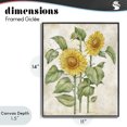 thumbnail image 4 of Stupell Industries Cottage Floral Journal Vintage Sunflower Black Framed Giclee Art, 11 x 14, by Paul Brent, 4 of 8