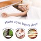 thumbnail image 4 of Almohada de cama Rejuvenite American Talalay de látex de soporte medio, 4 of 8