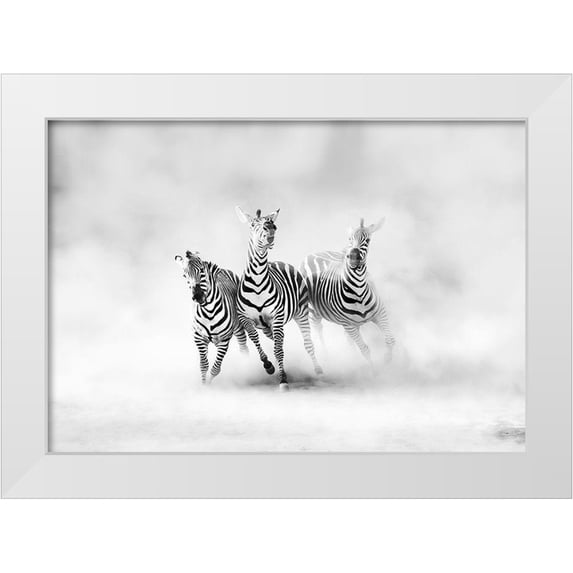 Luis Duran, Juan 14x11 White Modern Wood Framed Museum Art Print Titled - ZEBRAS