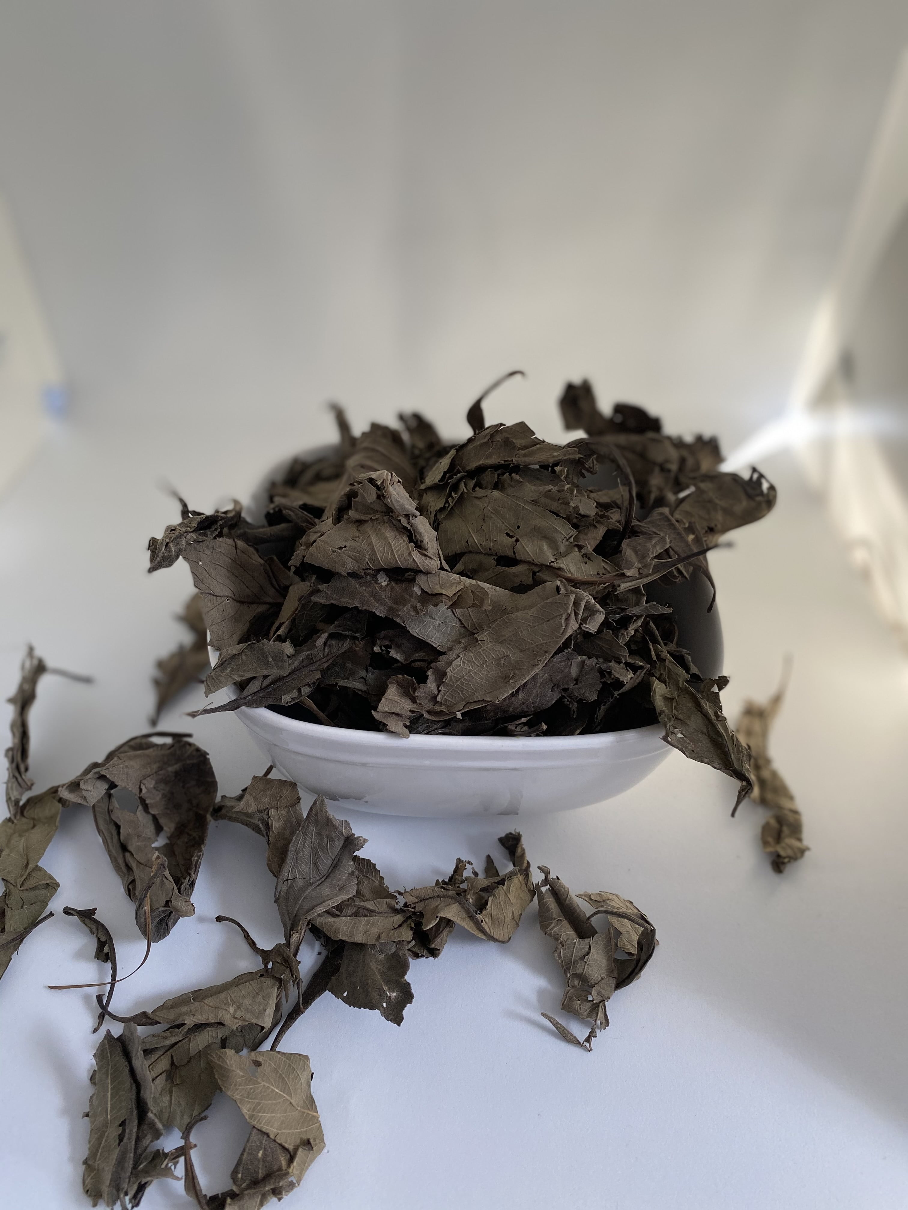 Segems Natural Organic Kinkeliba Herbal loose Tea leaves 2.5oz
