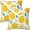 Lemon, variant on Easter Throw Pillow Covers Set of 2 Soft Pillow Case Protectors with Zipper Standard Size Pillowcase Square for Bed, Sofa, Living Room, Outdoor (16"x16")