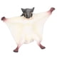 thumbnail image 5 of Juguete Modelo De Ratón Simulado, Mejora La Curiosidad, Pose Activa, Modelo De Ratón Falso, Juguete De Plástico Resistente, Forma Realista Para Regalo De Cumpleaños ANGGREK AC7058, 5 of 8