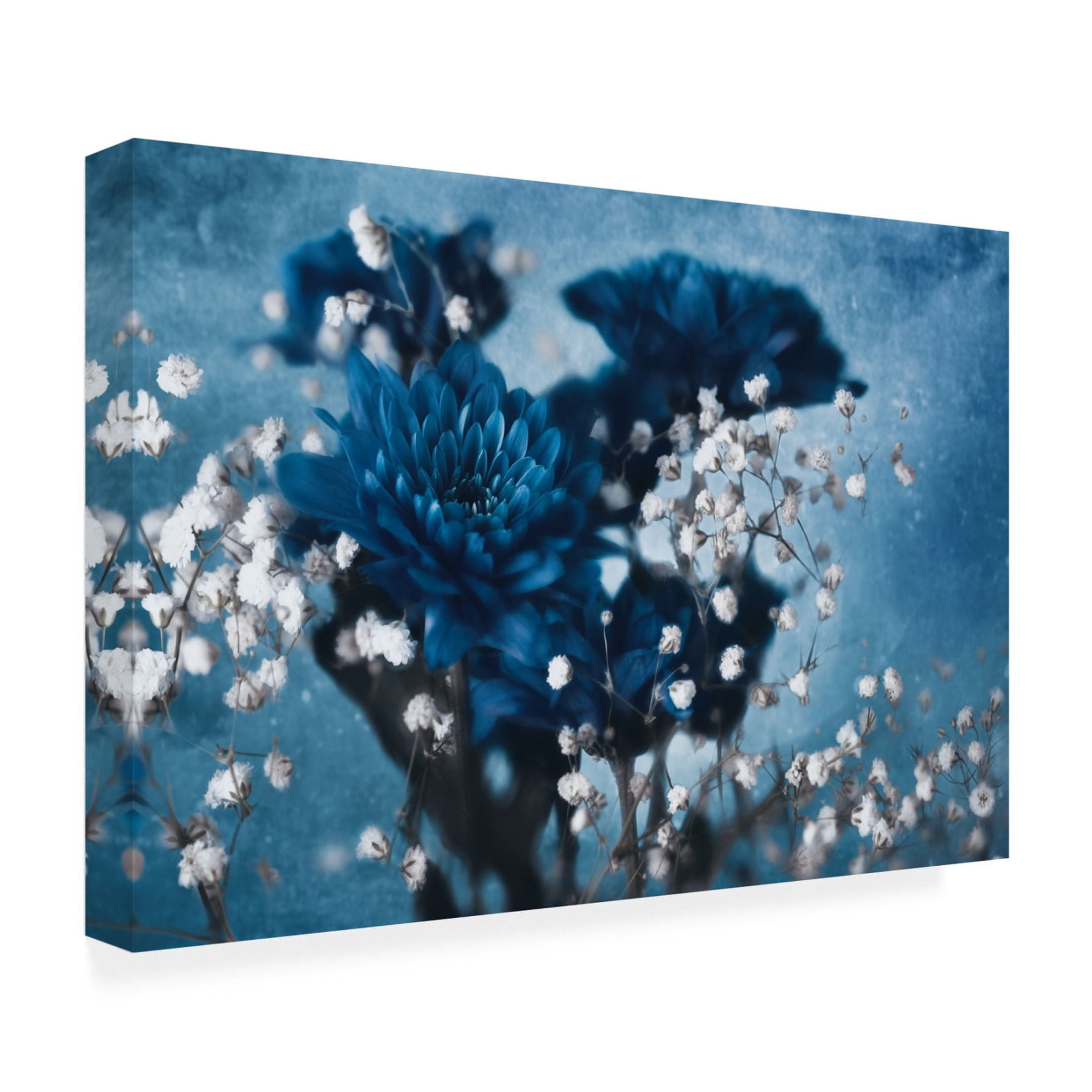Canvas Wall Art - Mike Kreiten 'Dahlia' Wall Art for Living Room, Bedroom, or Office Décor by Trademark Fine Art - 32 x 22 Inches