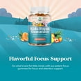 thumbnail image 5 of Natures Craft Focus Gummies Nootropics Brain Support Supplement for Kids, Tropical Fruits, 90 Count, 5 of 12