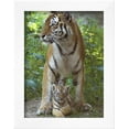 thumbnail image 2 of Siberian Tiger Mother with Young Cub Resting Between Her Legs, Animals Framed Art Print Wall Art by Edwin Giesbers Sold by Art.Com, 2 of 5