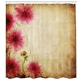 thumbnail image 3 of Ambesonne Floral Shower Curtain, Retro Flowers Grungy Old, 69"Wx70"L, Sand Brown Pink, 3 of 3