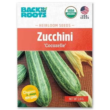 Back to the Roots Organic Summer Squash Zucchini 'Cocozelle', 1 Seed packet