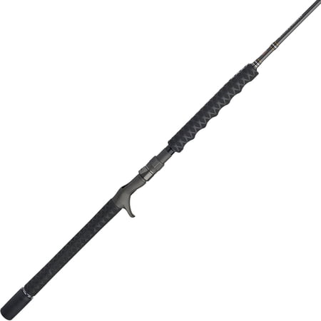 PENN Carnage III Conventional Jigging Rod 5 8 Fishing Pole Heavy Power