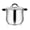 10 Quarts, variant on Stainless Steel Stock Pot 4 Quarts with Visible Lid, Tri-ply Bottom, Dual Handles