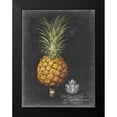 thumbnail image 2 of Brookshaw, George 12x14 Black Modern Framed Museum Art Print Titled - Royal Brookshaw Pineapple II, 2 of 5