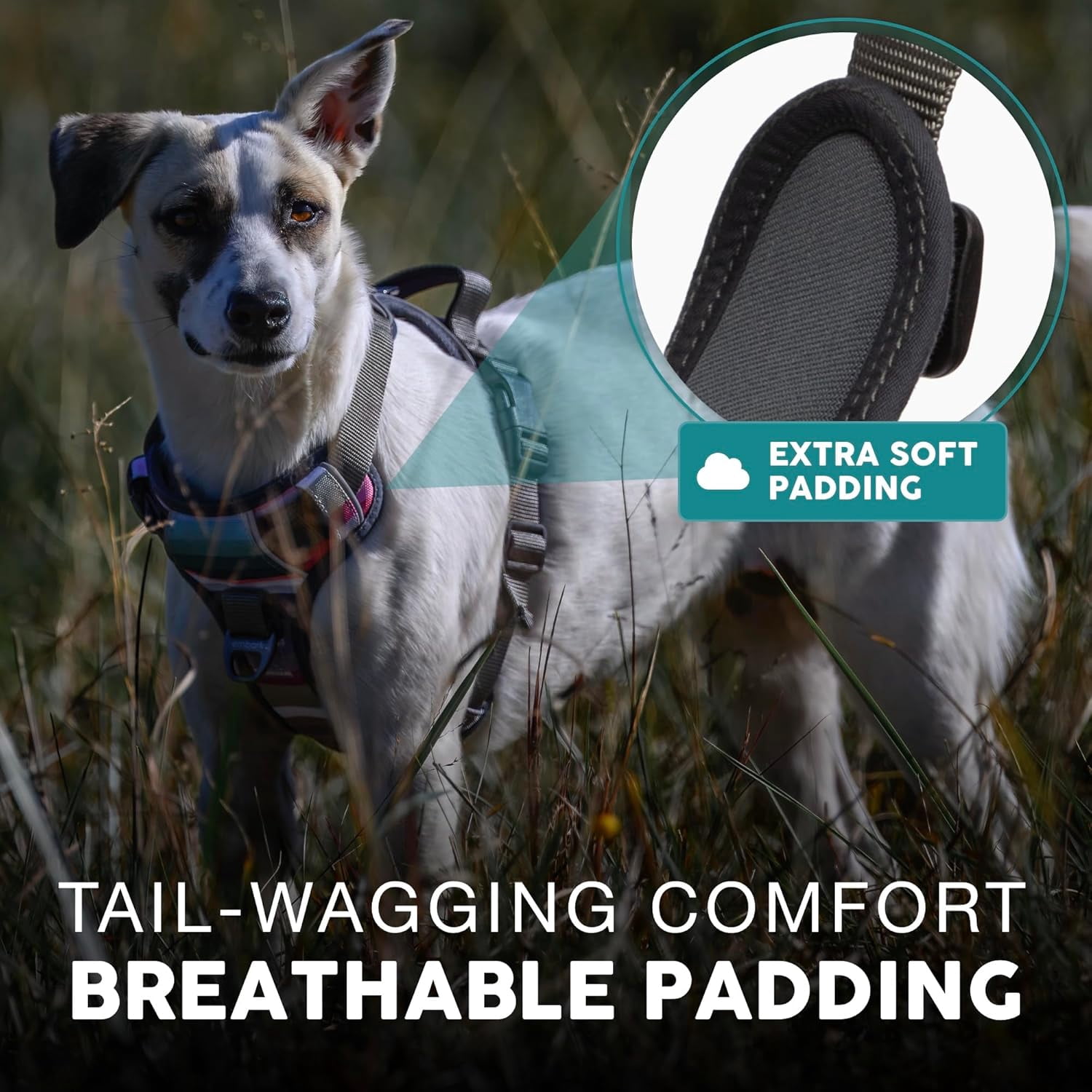 Embark Urban Dog Harness, No-Pull Reflective Trim Dog Harness for Small, Medium & Large Dogs - Military Grade Nylon, 2 Leash Clips & Gel Lined Handle. Soft & Padded Puppy Dog Vest for Any Breed