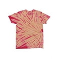 thumbnail image 2 of Dyenomite Sidewinder Tie-Dyed T-Shirt | 200SW, 2 of 2