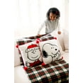 thumbnail image 4 of Dan Dee Peanuts | 14" Officially Licensed & Collectible Decorative Pillow | Charlie Brown, White, 4 of 4
