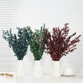 thumbnail image 3 of 8oz Dried Eucalyptus Stems Real for Shower, 17'' Preserved Fresh Eucalyptus Plant Live Green Leaves, Dry Eucalyptus Branches Greenery Bundle for Arrangement, Wedding, Home Decor (Red), 3 of 8