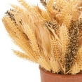 thumbnail image 3 of SAFAVIEH Faux 14 Inch Wheat Eat Potted Arrangement, Multi, 3 of 5