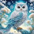 thumbnail image 2 of Animal Wall Art Owl Diamond Art Kit for Adults Full Drill 5D Diamond Painting for Adults Fantasy Gem Art for Adults Craft Kit for Home Wall Decor, 2 of 8